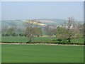 Cereals, Corvedale