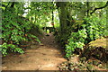 Trackway to Burrator Lodge