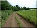 Bridleway at West Lavington