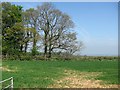 Arable land, East Devon Plateau