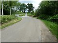 Sharp bend on Selham Road approaching West Lavington