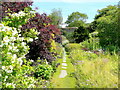 The Garden House garden in June - 42