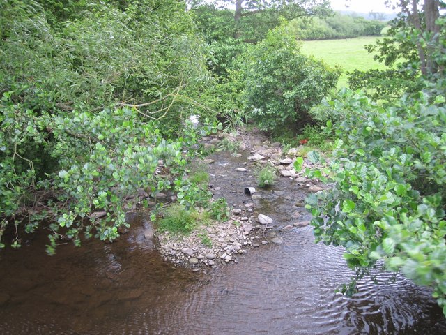 River Triffrwd near Felin-newydd