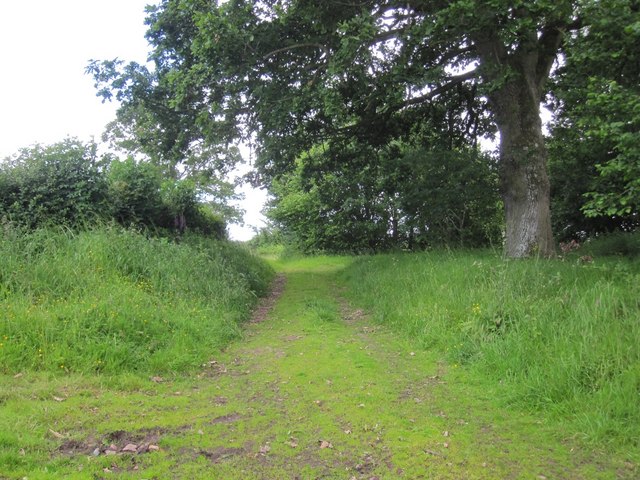 Track near Felin-newydd