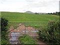 Pasture land west of Bronllys, with Mynydd Troed in the distance