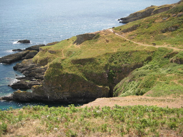 Headland east of Ivy Cove