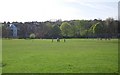 South Norwood Lake and Grounds