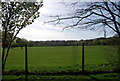 Playing fields, South Norwood Lake and Grounds