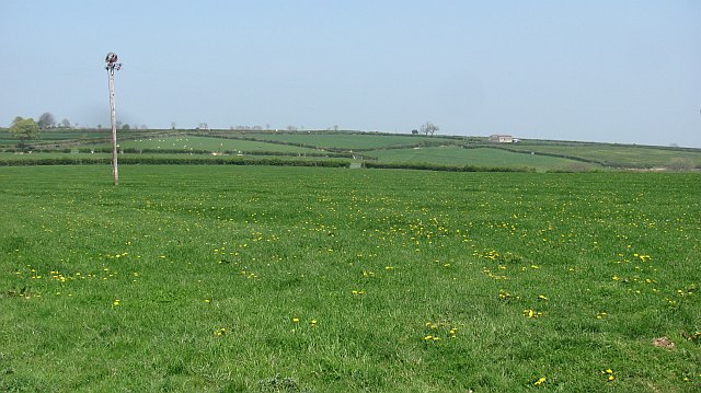 Grass field above Combe St Nicholas