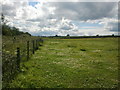 Field at Lyde Cross