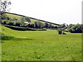 Valley Side near Culverwell