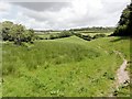 Footpath to New Bridge