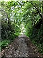 Green Lane to Loddiswell