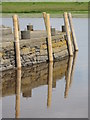 NX4354 : Mooring posts and reflections at Wigtown Harbour by Bob Jones