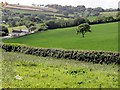 Looking Down to Lower Yanston