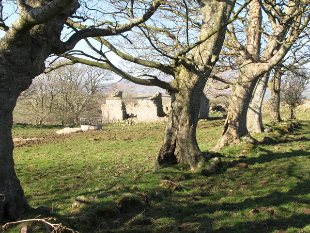 Ruined cottage above the valley of the Mullagh River