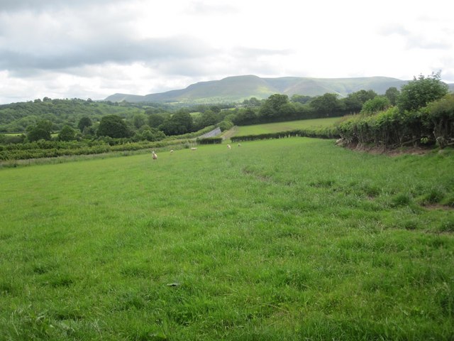 Pasture land south of Talgarth