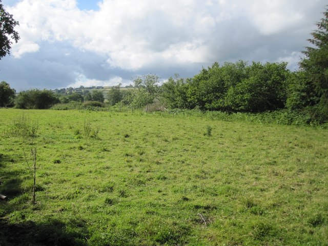 Rough pasture by the Wye (the hedgeline marks the course of the dismantled railway)