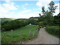 Farm tracks in the Elwy Valley