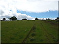 Farm track up Mynydd Bodran