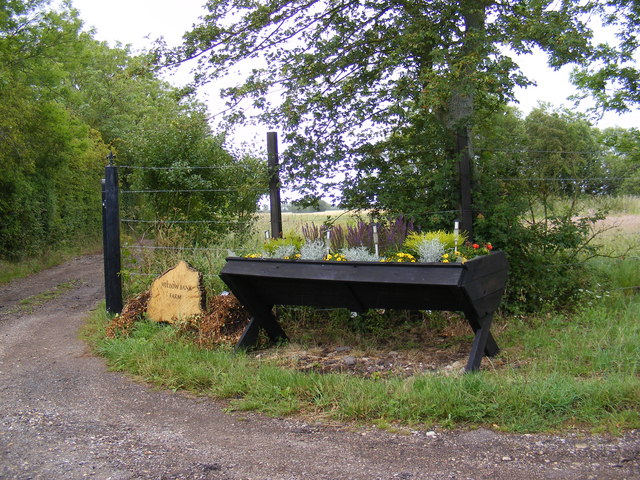 Flower Trough at the entrance to Willow Bank Farm