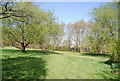 South Norwood Lake and Grounds