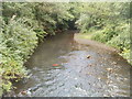 Afon Lwyd upstream, Pont-y-felin Road, Pontypool