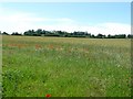 Countryside near Easton