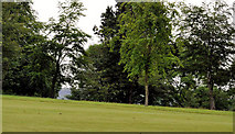 J3068 : Dunmurry golf course (2) by Albert Bridge