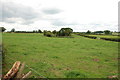 Across Field to Tree Lined Pond, Water Eaton Lane