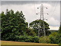 J3067 : Pylon and power lines, Dixon Park, Belfast (4) by Albert Bridge