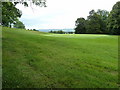 Behind the green view on Cowdray Park golf course