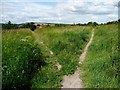 The path divides at Orchard Head