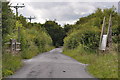 The Tarka Trail to Barnstaple branches right to pass through Anchor Wood