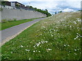 Landscaping of the former A2 near Gravesend