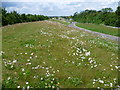 Landscaping of the former A2 near Gravesend