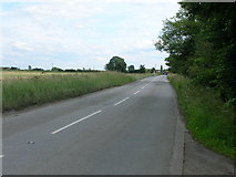 SE5521 : Whitefield Lane towards Whitley by JThomas