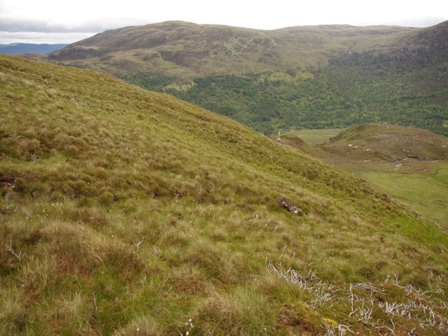 Southern slopes of Sgorr na Diollaid