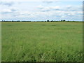 Farmland north of the A645