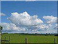 Mobile phone mast on South Moor