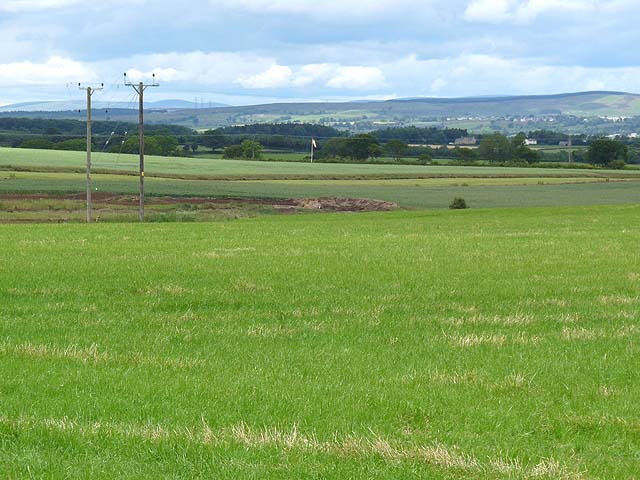 Grass Landing Strip At Causey Park © Oliver Dixon Geograph Britain