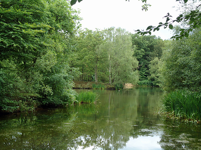 Strawberry Hill Pond © Roger Jones cc-by-sa/2.0 :: Geograph Britain and