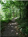 Track on the west side of Bramber Castle