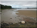 SO6501 : The edge of the Severn at low tide, from Lydney harbour by Rob Purvis