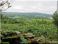 Looking down towards Strathtay