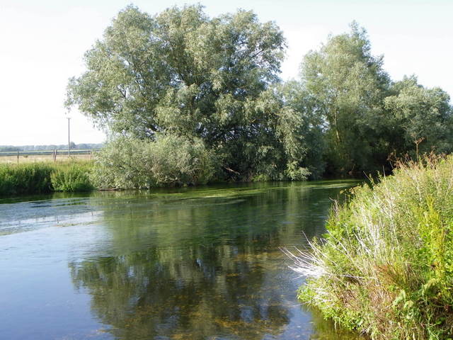 The River Stour, Sturminster Marshall
