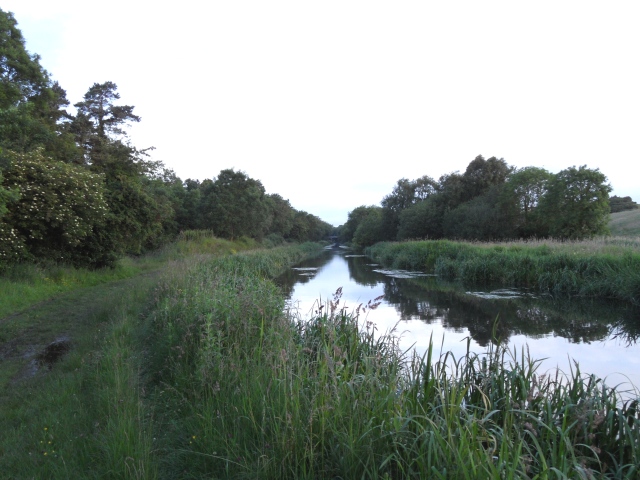 Grand Canal east of Sallins, Co. Kildare