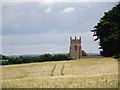 Barley field with church tower by Claverley, Shropshire