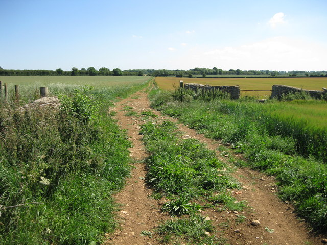Stonehill Lane - looking south
