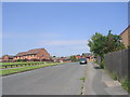 Dunsford Avenue - viewed from Coleshill Way